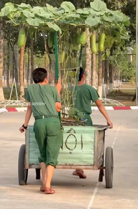 Nền ảnh